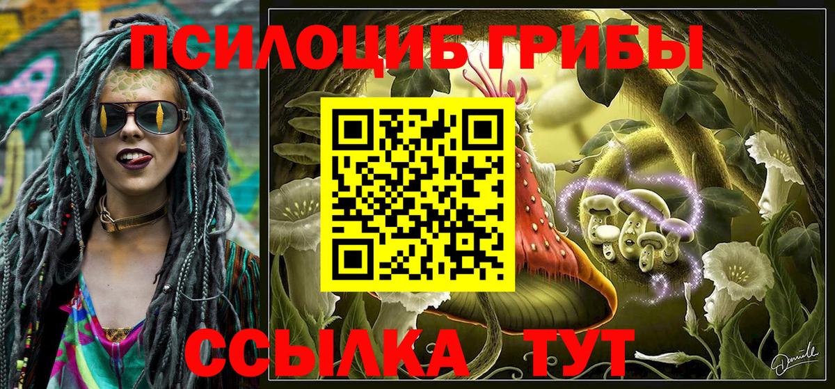 Псилоцибиновые грибы MAGIC MUSHROOMS  Вход с VPN  Серпухов  Псилоцибиновые грибы Cubensis 