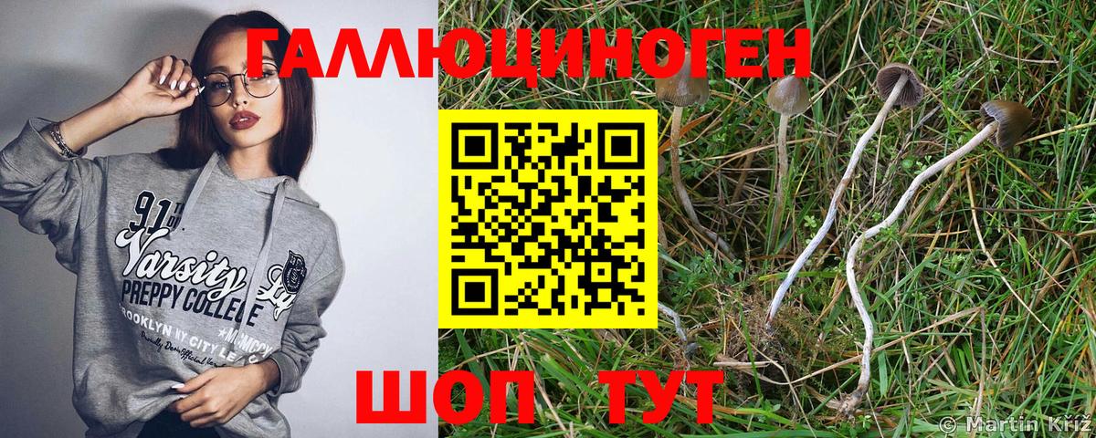 Галлюциногенные грибы мицелий Серпухов